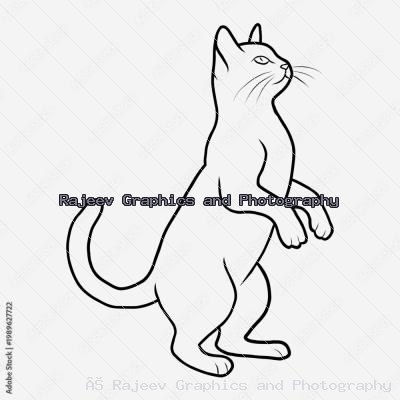 Minimalist Black Line Art Illustration Of A Cat Standing On Hind Legs