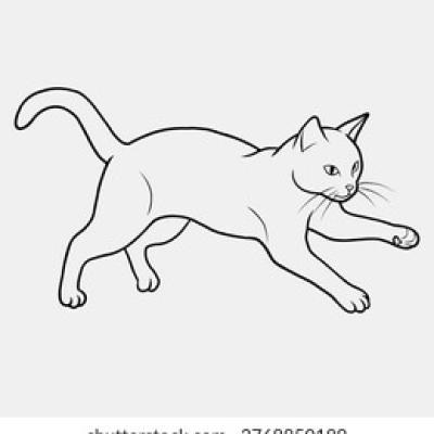 Minimalist Black White Line Art