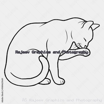 Minimalist Cat Line Art Illustration N Domestic Feline Licking Paw