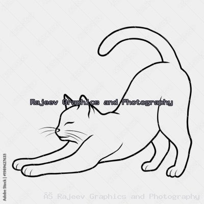 Minimalist Line Art Illustration Of A Cat Stretching In Playful Bow Pose
