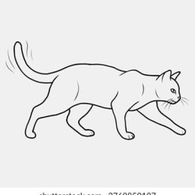 Minimalist Line Art Stalking Domestic