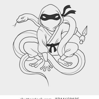 Stylized Ninja Warrior Giant Snake